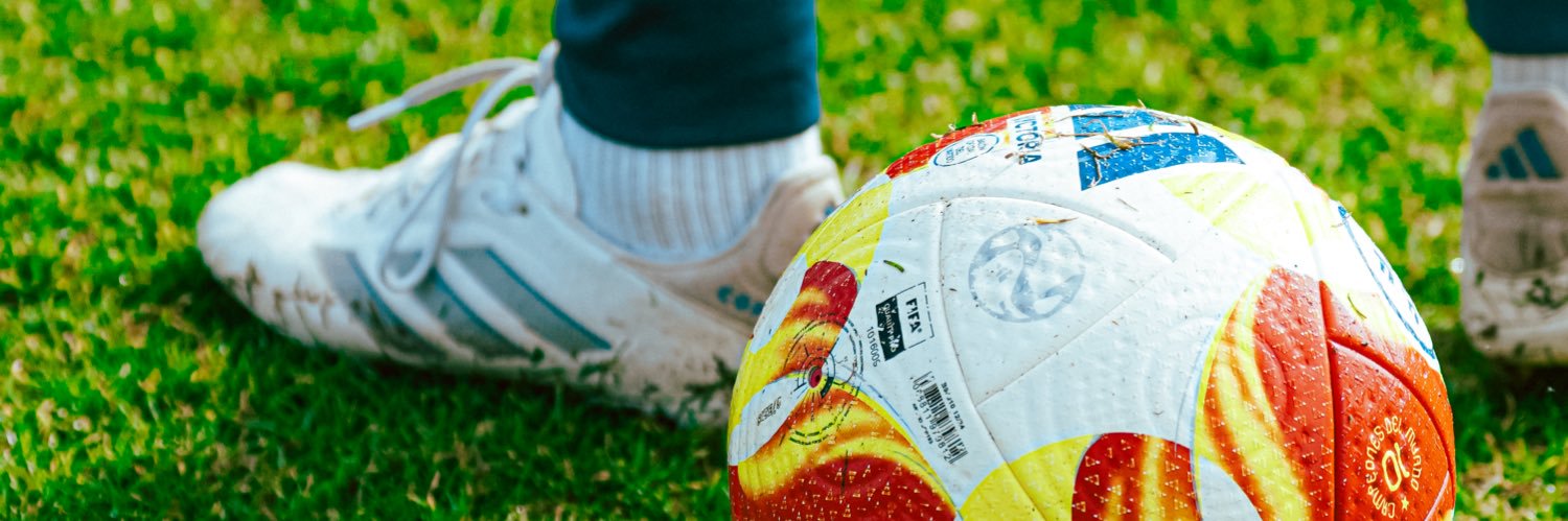 Llorenç Enrich banner