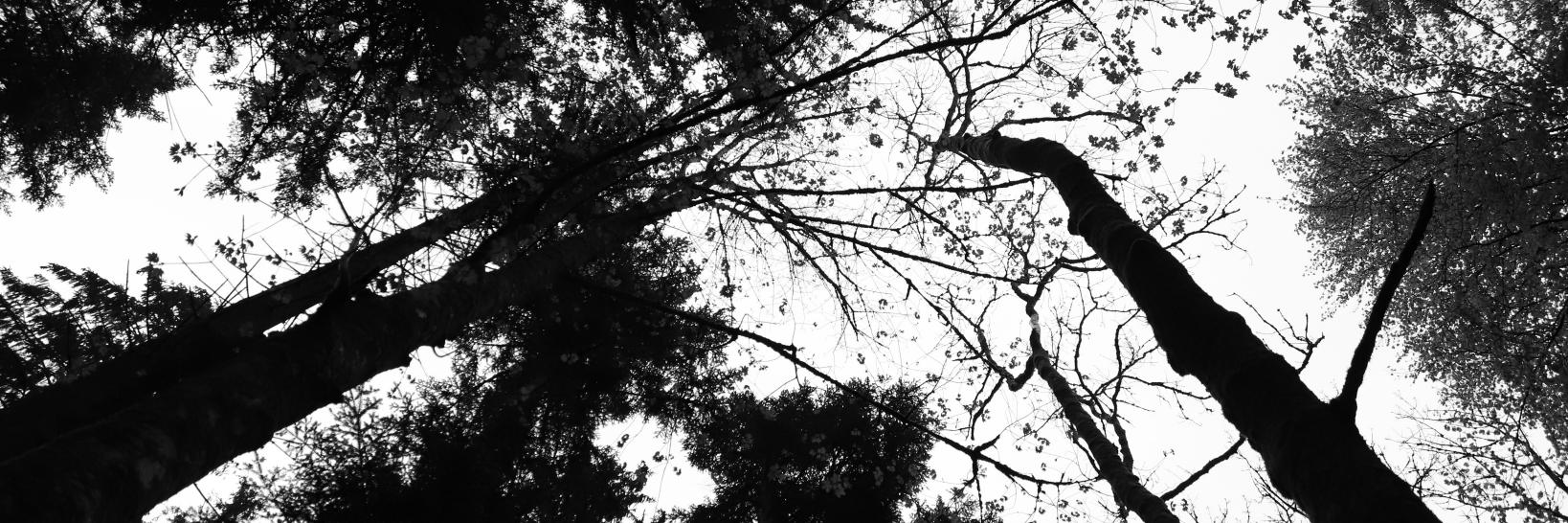 Alex_Avanti's profile banner image