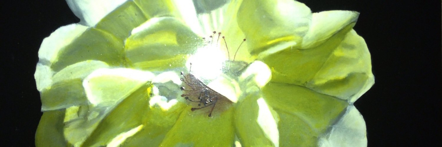 Maarten van Vugt banner