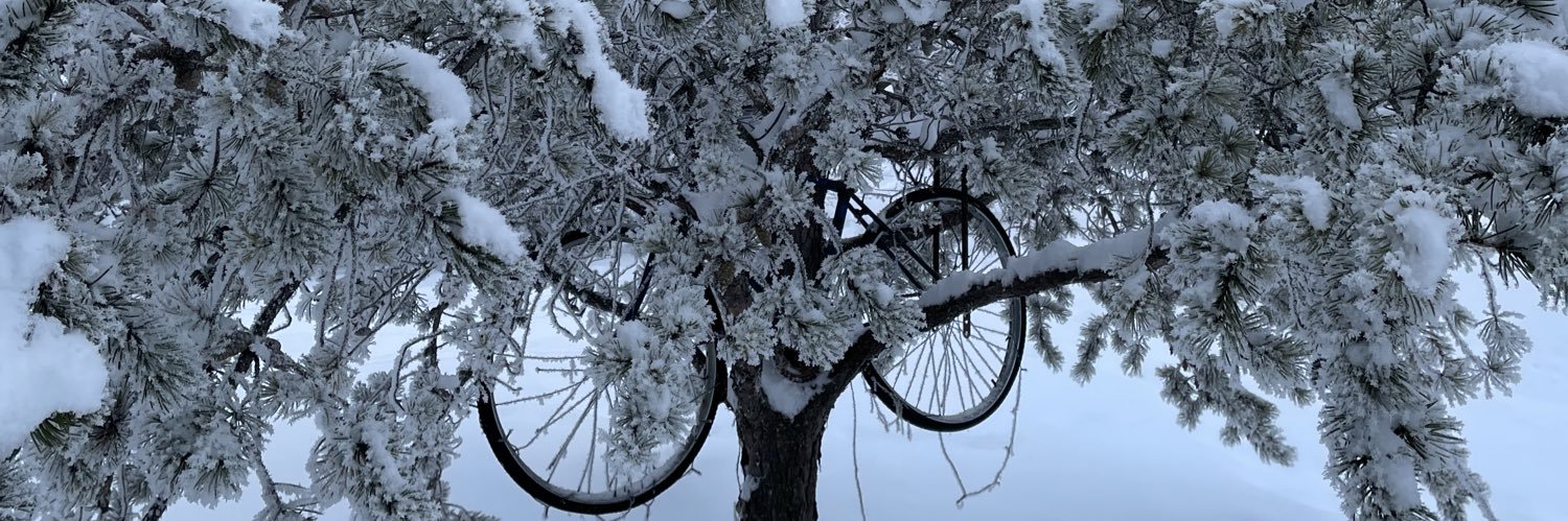 CathyOckerman's profile banner image