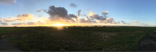 Pjanter Profile Banner