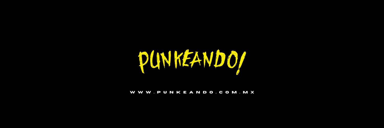 Punkeandoo's profile banner image