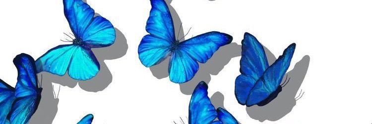 Jazminnnhh's profile banner image