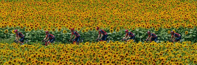 Remco Evenepoor banner