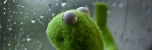 ElFluffies's profile banner image
