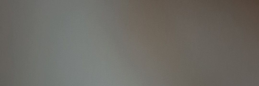geisha banner