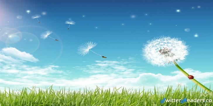 dptalk's profile banner image