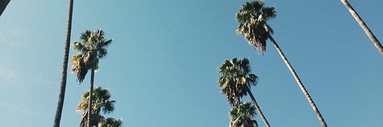 alexysgabrielle's profile banner image