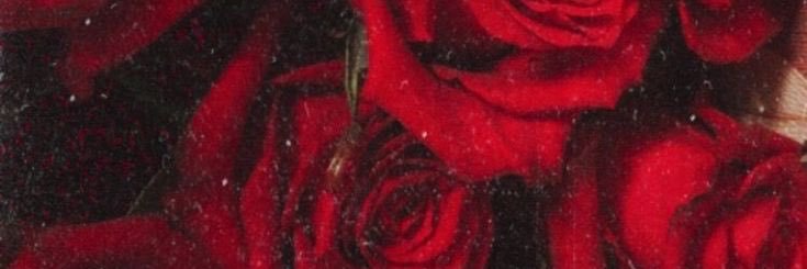 RahafAdeelS's profile banner image