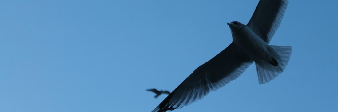 EnginTenekeci's profile banner image
