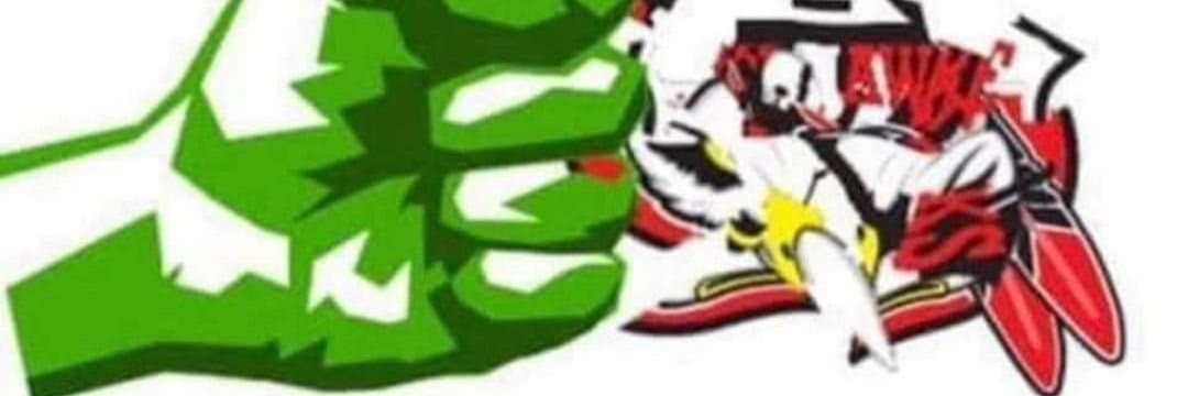 M̸i̸c̸k̸e̸ L̸i̸n̸d̸v̸a̸l̸l̸ banner