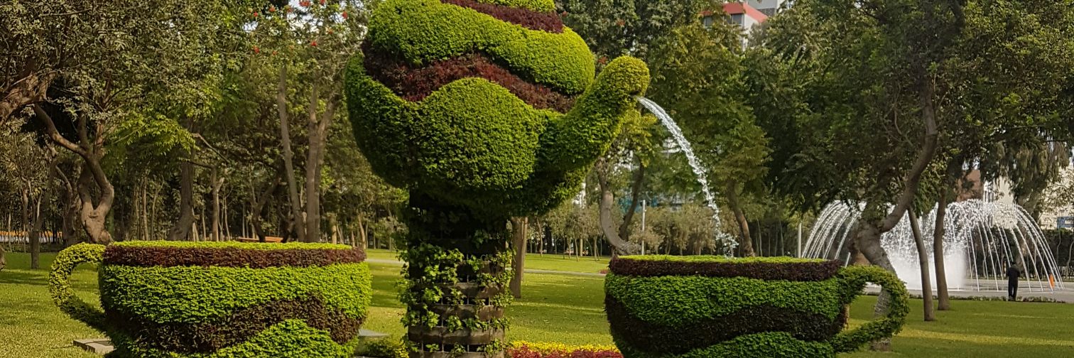 anphont's profile banner image