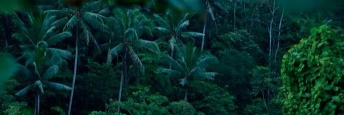MovesLikeShady's profile banner image