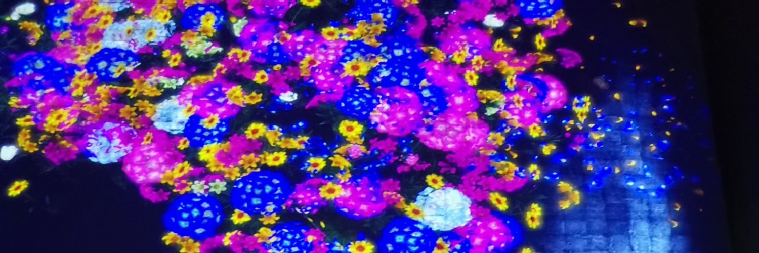 catzie's profile banner image