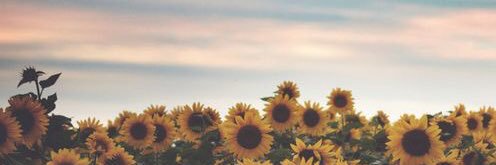 Lexie__A's profile banner image