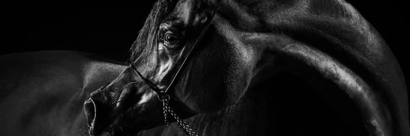 tamim280's profile banner image