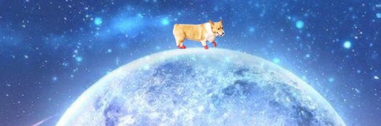 tantaknee's profile banner image