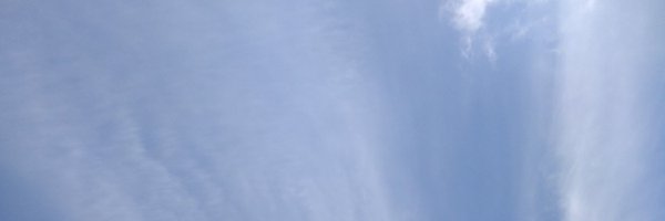 suteler Profile Banner