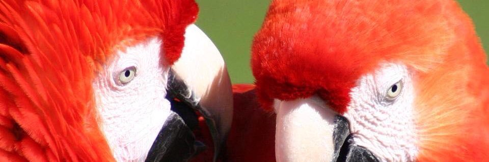 nicktheprop's profile banner image