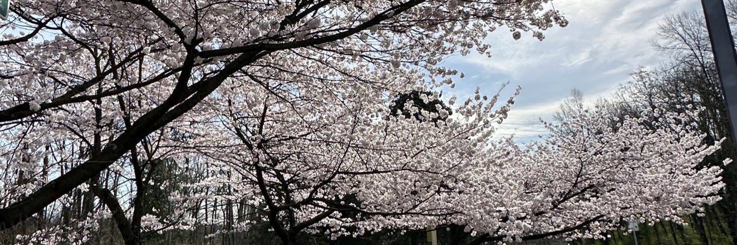 alosaimikhalid_'s profile banner image