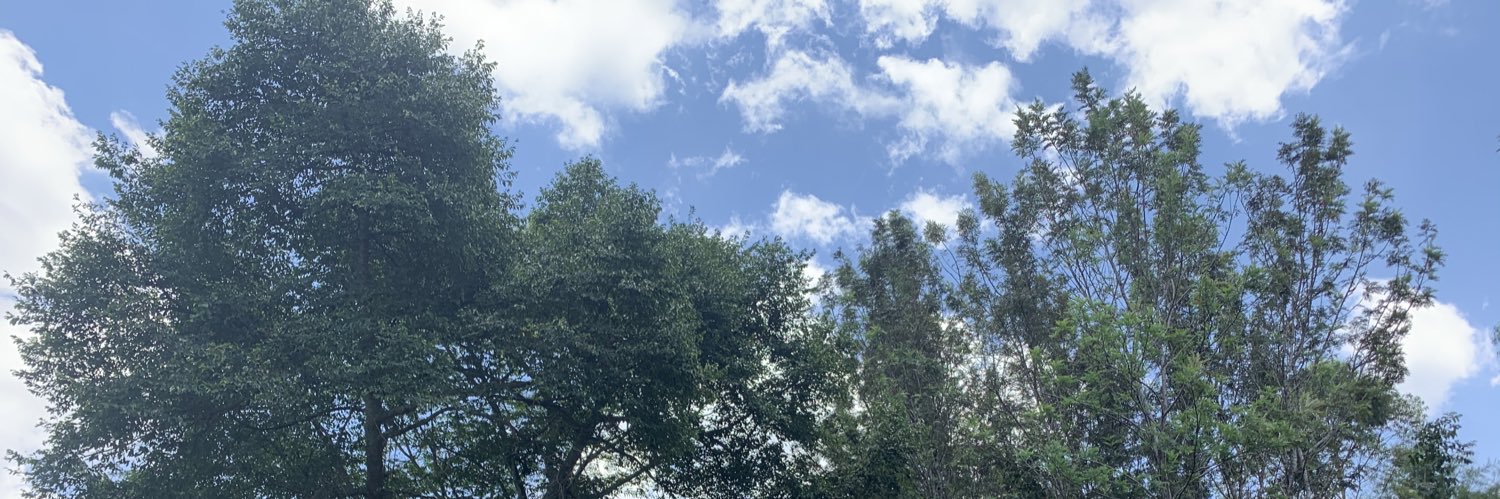rough banner