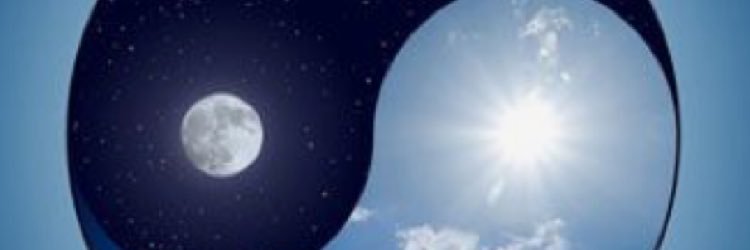 meg_jlr's profile banner image