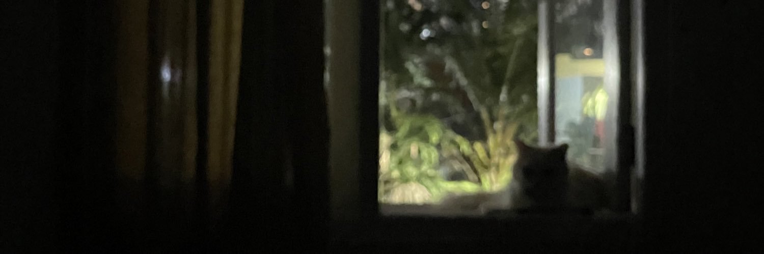 fuwitchy's profile banner image