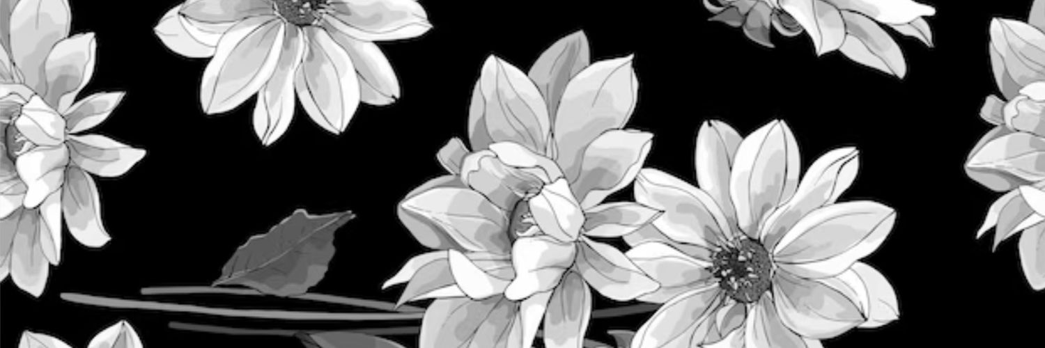 villashei's profile banner image