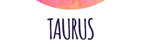 MeaaMeii's profile banner image
