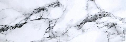 CatherineAlexic's profile banner image