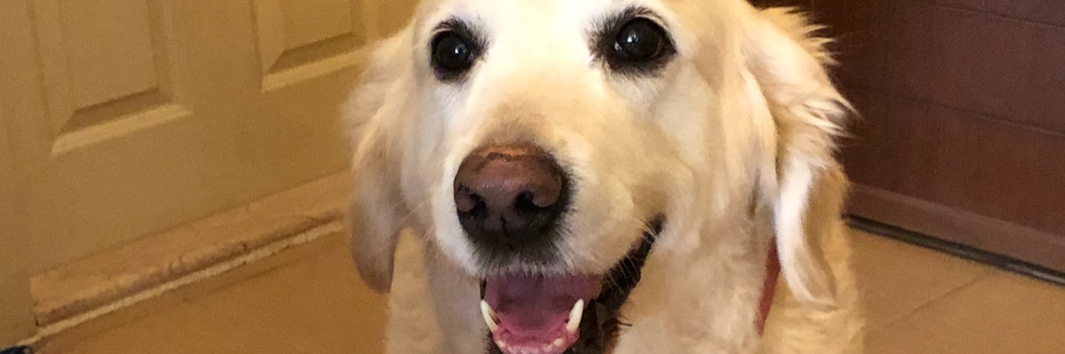 gkhnerdl's profile banner image
