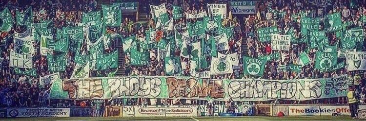 Marc Diver banner