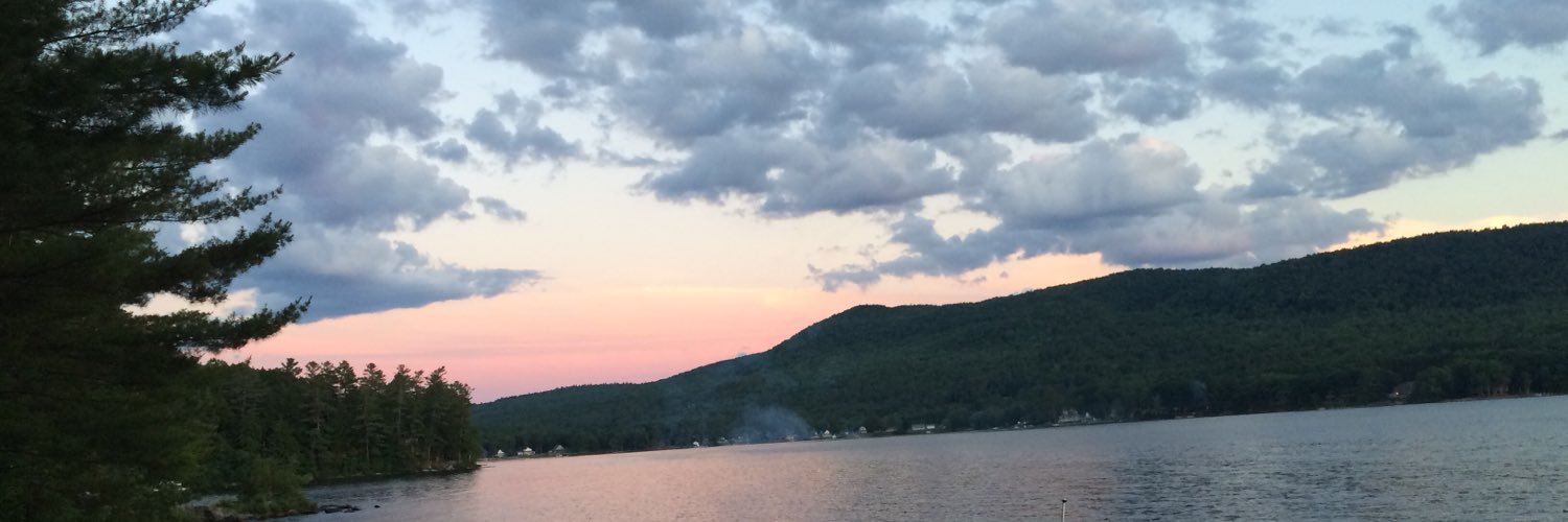 laura dosko gull banner