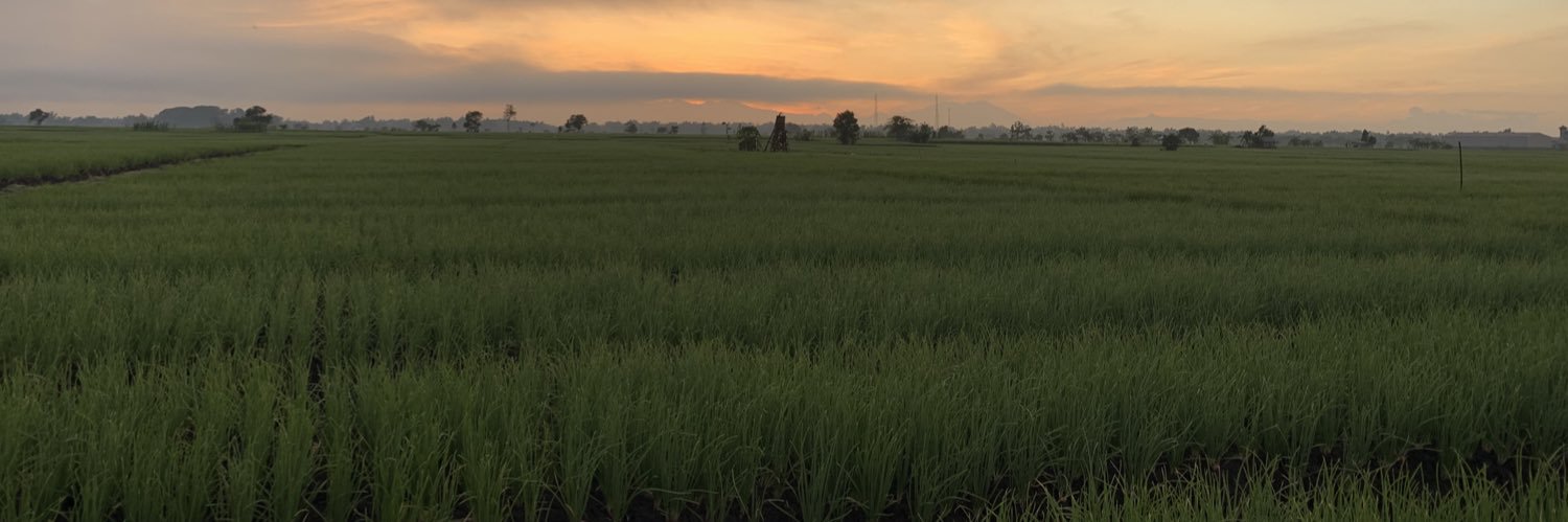 andikks's profile banner image