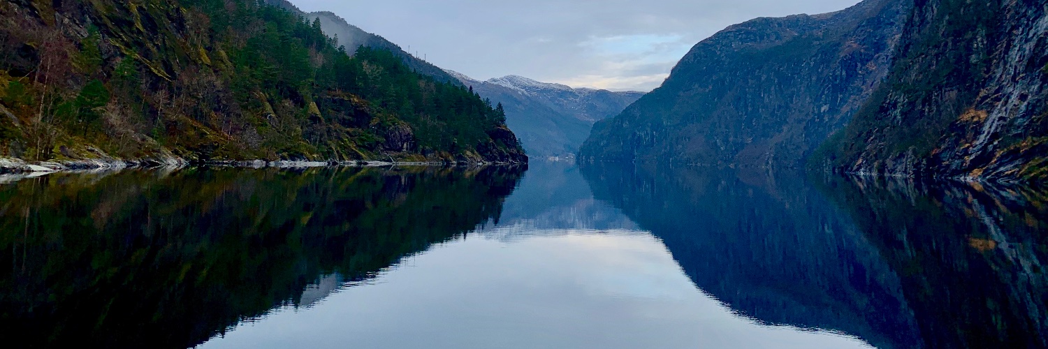 Stephanie ✨🧳✈️ banner