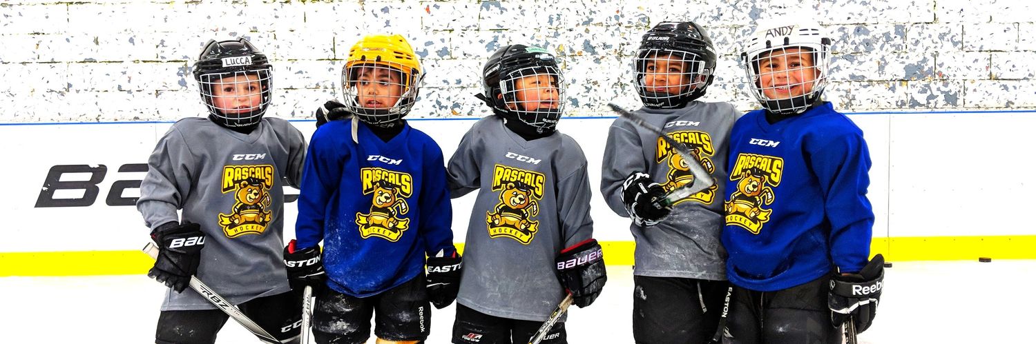 Inside Edge Hockey banner