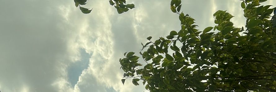 Luji_K's profile banner image