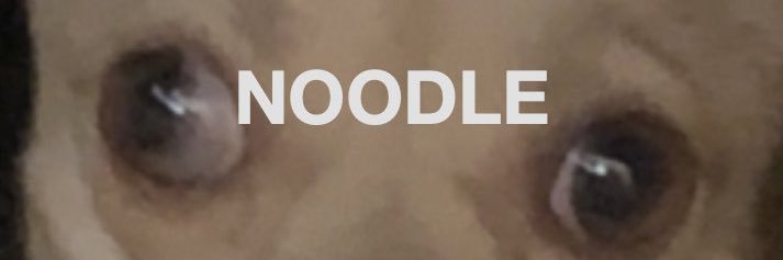 FlappyPancake's profile banner image