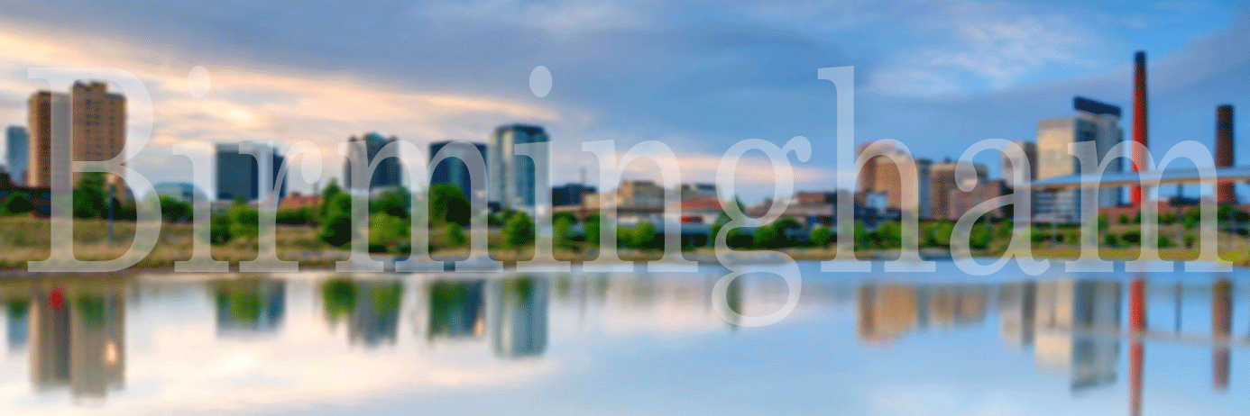 Bham City Council banner