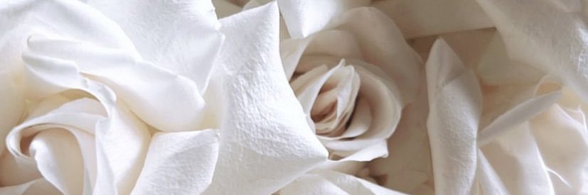 Giuls119's profile banner image