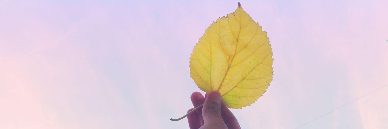 UrielRox's profile banner image