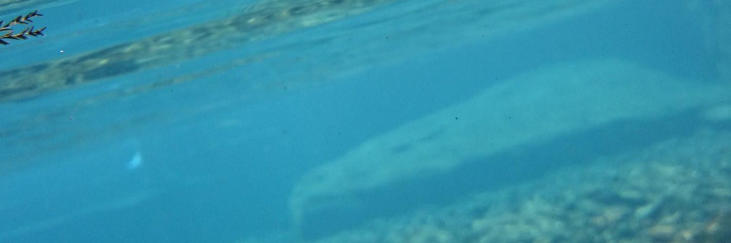 NovaPablo's profile banner image