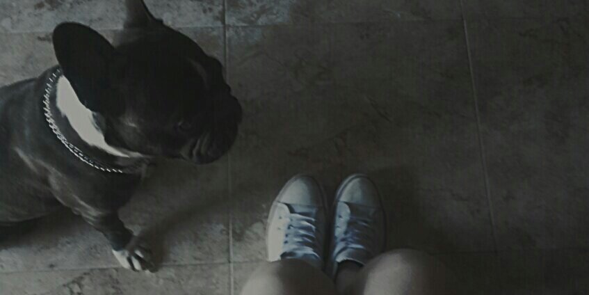 PsychoNaty's profile banner image