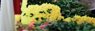 Lehbialeme*-* banner