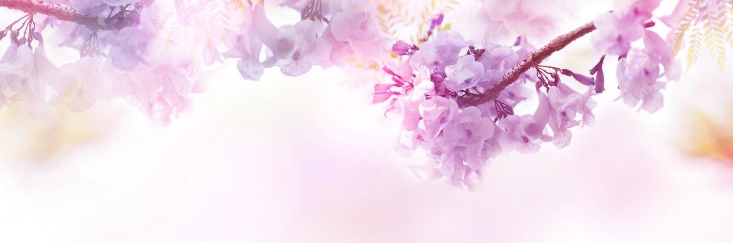LD_CoquitlamCen's profile banner image