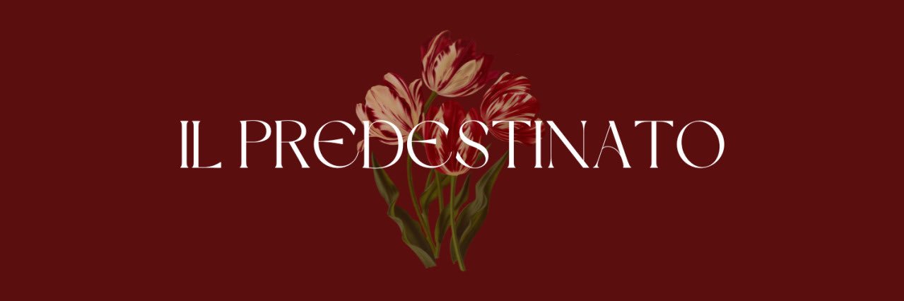 graceledcmas's profile banner image