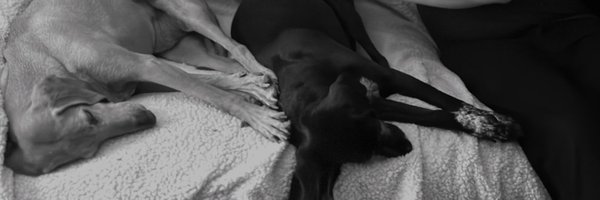 according2_taz Profile Banner
