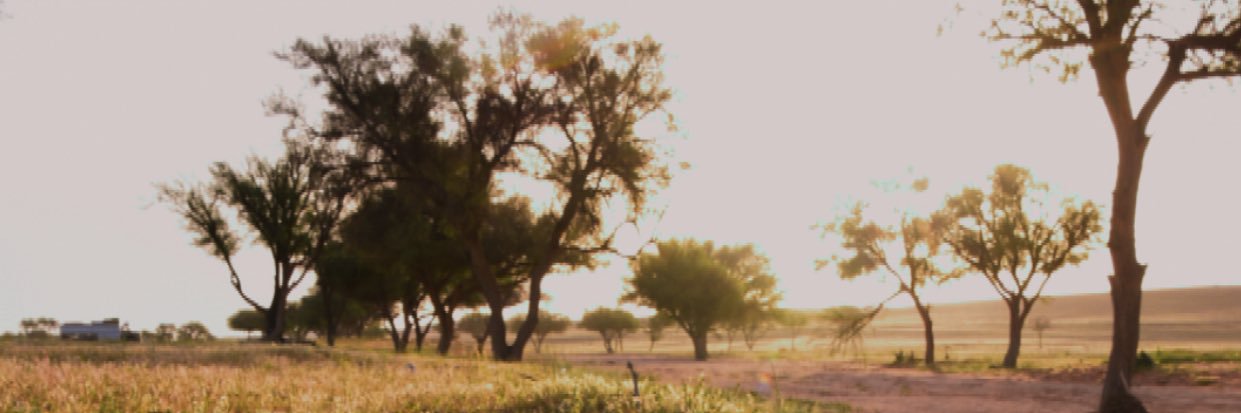 sh9ffff banner