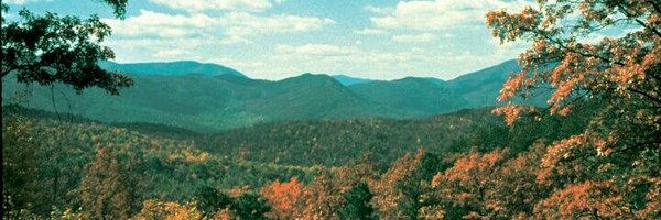 synclair__ Profile Banner