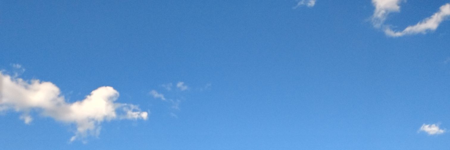 LRigillo's profile banner image